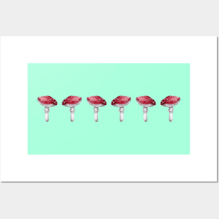 Mushroom Master Fly Agaric Posters and Art